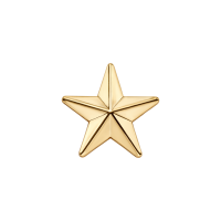 Estrella del ejército (M)