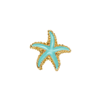 Estrella de mar (pequeña)