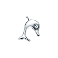 Silver Dolphin