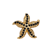 Gold/Black Starfish